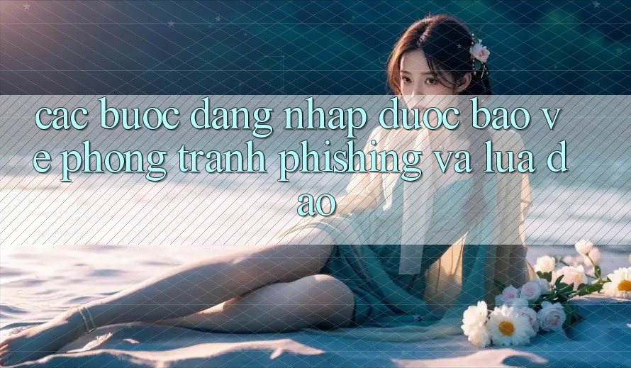Các bước Đăng Nhập Được bảo vệ - Phòng Tránh Phishing Và Lừa Đảo