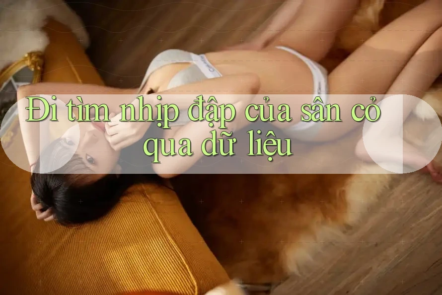 Đi tìm nhịp đập của sân cỏ qua dữ liệu Đi tìm nhịp đập của sân cỏ qua dữ liệu