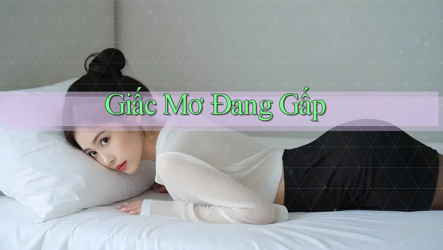 Giấc Mơ Đang Gấp