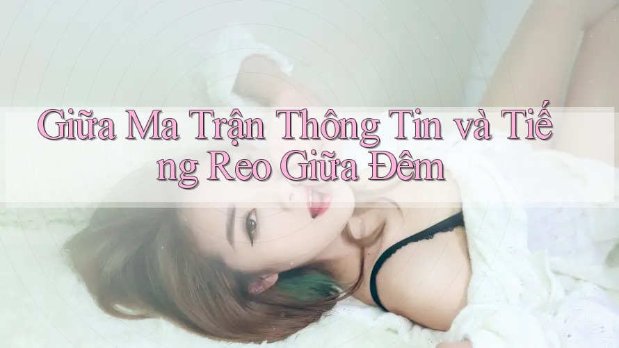 Giữa Ma Trận Thông Tin và Tiếng Reo Giữa Đêm
