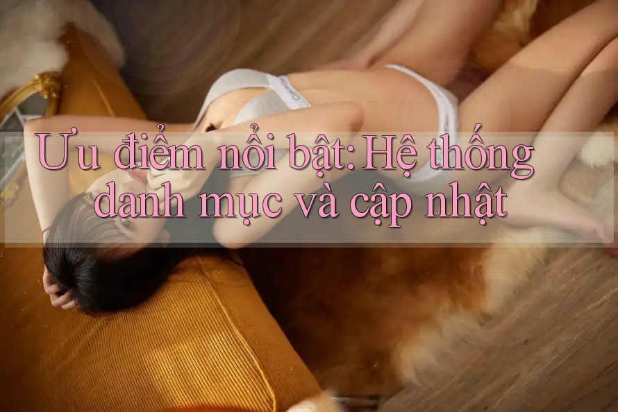 Ưu điểm nổi bật: Hệ thống danh mục và cập nhật